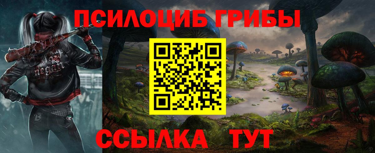 как найти   Галлюциногенные грибы мухоморы  Вход с VPN  Майкоп 