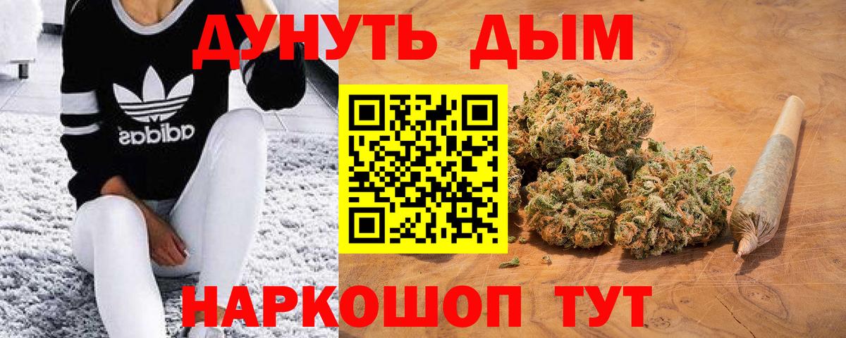 Конопля план  Вход с VPN  Майкоп  Конопля сатива 